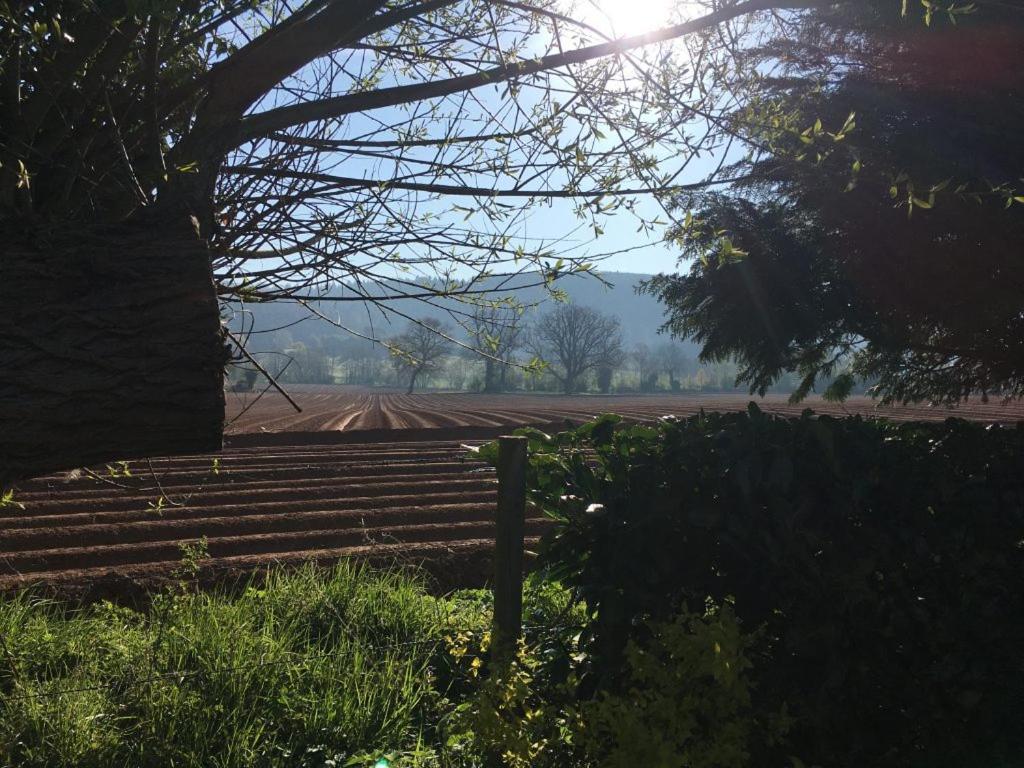 Dee'S Cottage At Brinsop Hereford Dış mekan fotoğraf